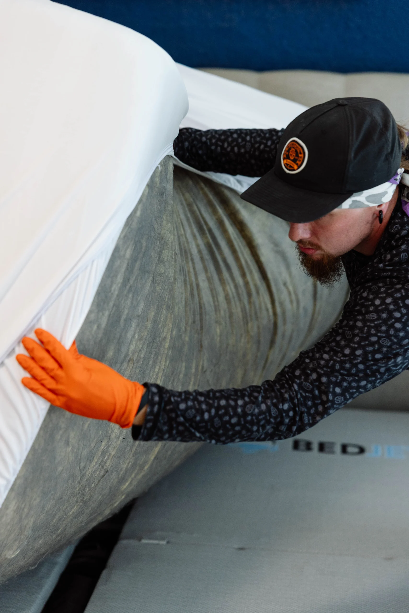 Bed Bug Control